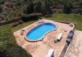 Small Farm with 12 Bedrooms and Swimming Pool