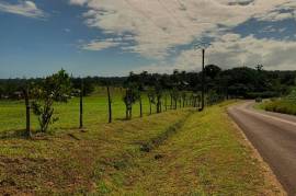 Excellent Plot of land for sale in Port Vila