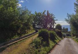 Land in Ponta do Sol, with 9060 m2