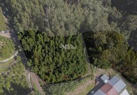 Land in Ponta do Sol, with 9060 m2