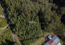 Land in Ponta do Sol, with 9060 m2