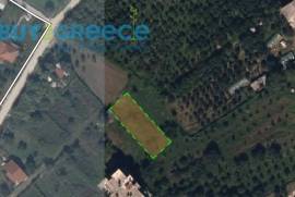 Land Plot for sale