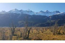 Patagonia: Property on the road to the Rio Ibañez