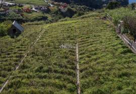 LAND | MADEIRA ISLAND | GREAT POTENTIAL