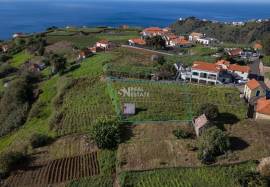 LAND | MADEIRA ISLAND | GREAT POTENTIAL