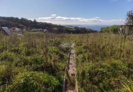 LAND | MADEIRA ISLAND | GREAT POTENTIAL