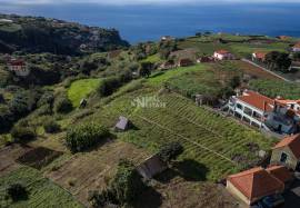 LAND | MADEIRA ISLAND | GREAT POTENTIAL