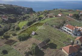 LAND | MADEIRA ISLAND | GREAT POTENTIAL