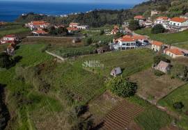 LAND | MADEIRA ISLAND | GREAT POTENTIAL