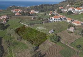 LAND | MADEIRA ISLAND | GREAT POTENTIAL