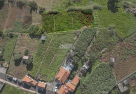 LAND | MADEIRA ISLAND | GREAT POTENTIAL