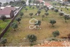 Building land located in Fatima. ( 5 min from the Shrine)