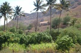 Excellent Plots of land for sale in Praia Baixo Cape