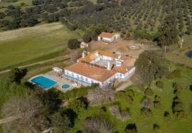 Estate with 175ha