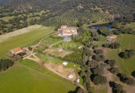 Estate with 175ha