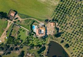 Estate with 175ha