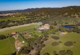 Estate with 175ha