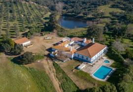 Estate with 175ha