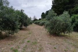 Excellent Plot of land for sale in Caspe