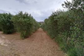 Excellent Plot of land for sale in Caspe