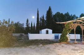 Superb 5 Bed Finca For Sale In Sax Alicante