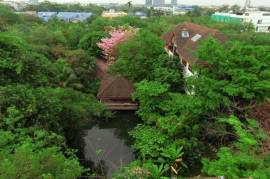 3 Houses For Sale in 9 Acres of Land Bangkok