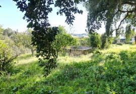 Farm - Urbanizable Rustic Land