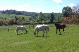 3 Bedrooms - House - Aquitaine - For Sale - 11595- LA