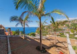 Villa - 3 Bedrooms - Ponta do Sol