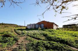 Farm with 2.5 hectares near the beach of Arrifana - Aljezur