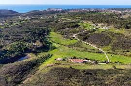 Farm with 2.5 hectares near the beach of Arrifana - Aljezur