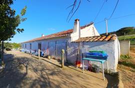 Farm with 2.5 hectares near the beach of Arrifana - Aljezur