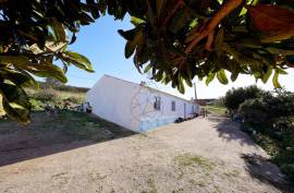 Farm with 2.5 hectares near the beach of Arrifana - Aljezur