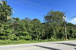 Cabarete Beachfront Lot