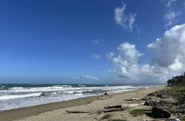 Cabarete Beachfront Lot