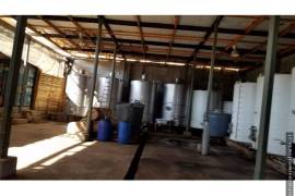 Vineyard With Dwelling for Sale in Illapel Coquimbo