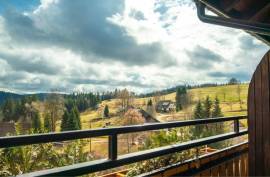 Multi-Family Home or Boutique Hotel & Apartments For Sale in Southern Black Forest