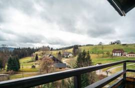 Multi-Family Home or Boutique Hotel & Apartments For Sale in Southern Black Forest