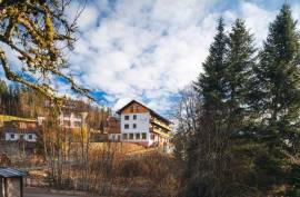 Multi-Family Home or Boutique Hotel & Apartments For Sale in Southern Black Forest