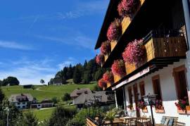 Multi-Family Home or Boutique Hotel & Apartments For Sale in Southern Black Forest