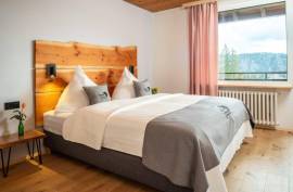 Multi-Family Home or Boutique Hotel & Apartments For Sale in Southern Black Forest