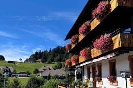 Multi-Family Home or Boutique Hotel & Apartments For Sale in Southern Black Forest