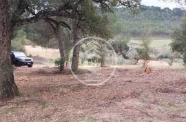 Farmhouse Rio Maior Sao Joao da Ribeira