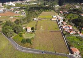 Wine Estate with 5 Hectares