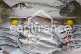 Dpt Hautes Alpes (05), à vendre GAP Poissonnerie