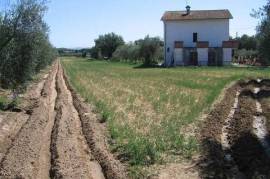 Bebaubares grundstück in Castiglione Del Lago Perugia - zone Piana zu verkaufen