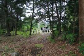 Sale of Farm in Chiriqui, Boquete de Café y Frutales