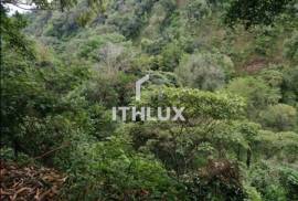 Sale of Farm in Chiriqui, Boquete de Café y Frutales