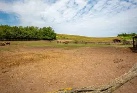 Hungary. Balatonendred. Estate with stables. 