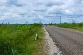 Belize Agriculture Land Philip Goldson Highway